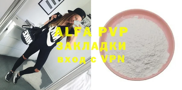 хмурый Долгопрудный