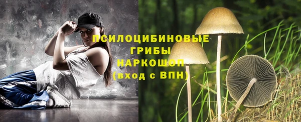 бутират Медногорск