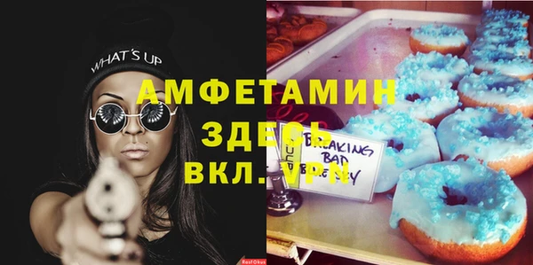 хмурый Долгопрудный