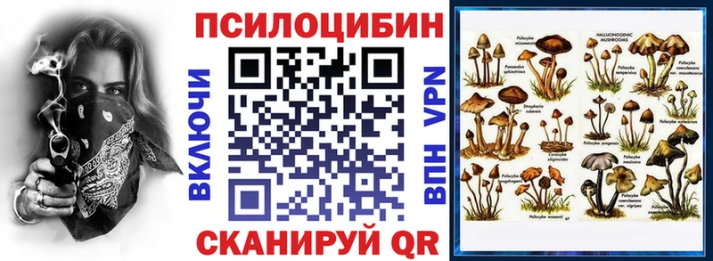 Псилоцибиновые грибы Cubensis  Серафимович 